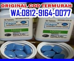 APOTIK VIAGRA SEMARANG 081291640077 JUAL OBAT KUAT VIAGRA 100MG PFIZER DI SEMARANG - 2